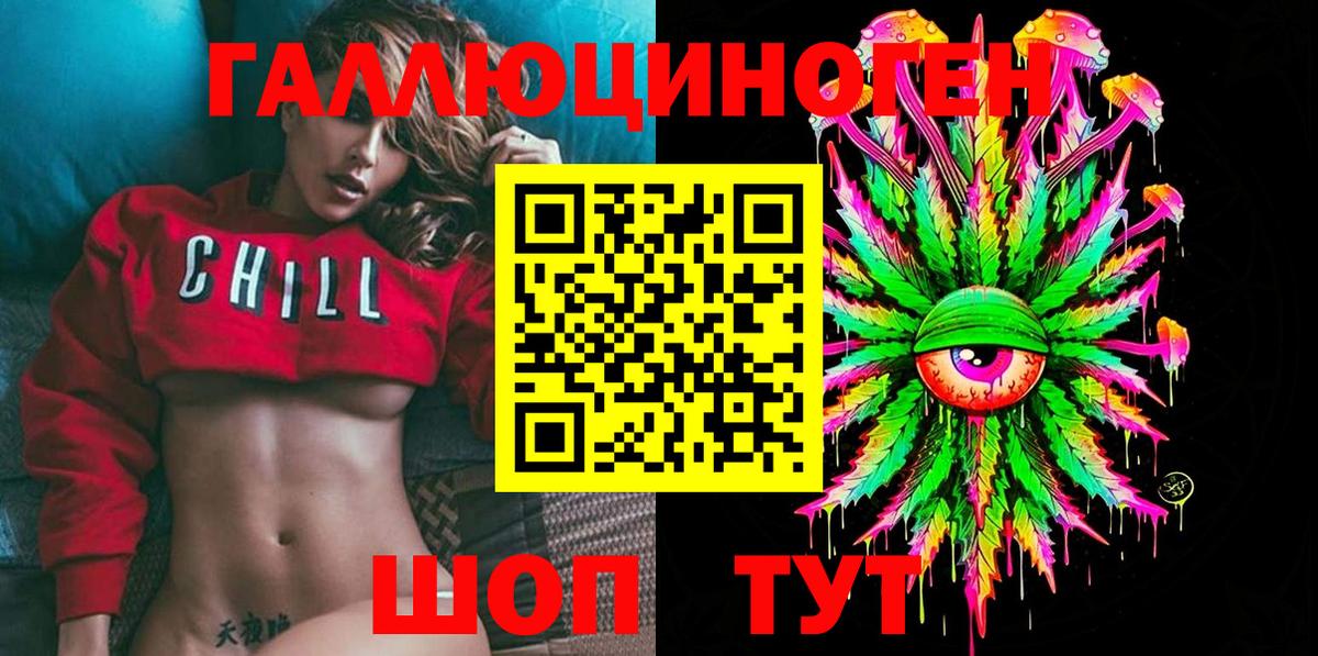 Псилоцибиновые грибы GOLDEN TEACHER  Галлюциногенные грибы MAGIC MUSHROOMS  Ессентуки  как найти закладки  Вход с VPN 