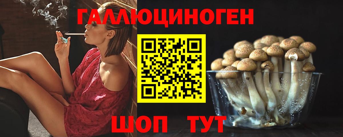 Псилоцибиновые грибы мухоморы Ессентуки